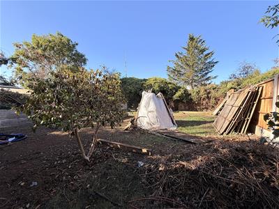 Picture 12